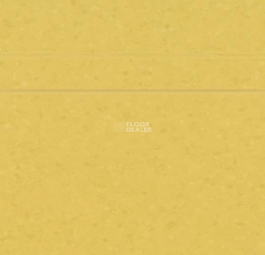 Forbo Sphera Element 50054 amber фото 2 | FLOORDEALER